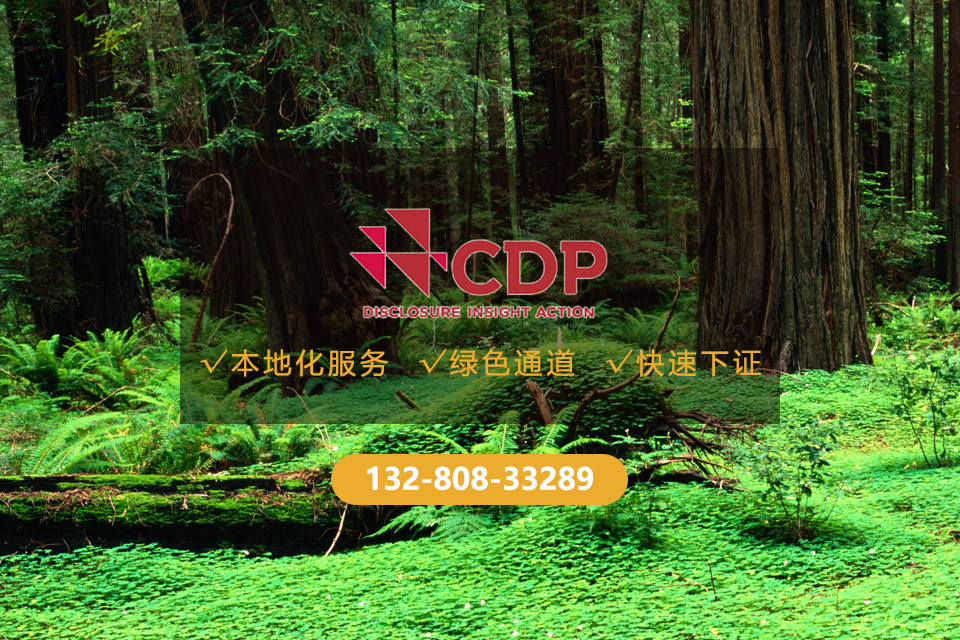 意昂2娱乐 c97c6